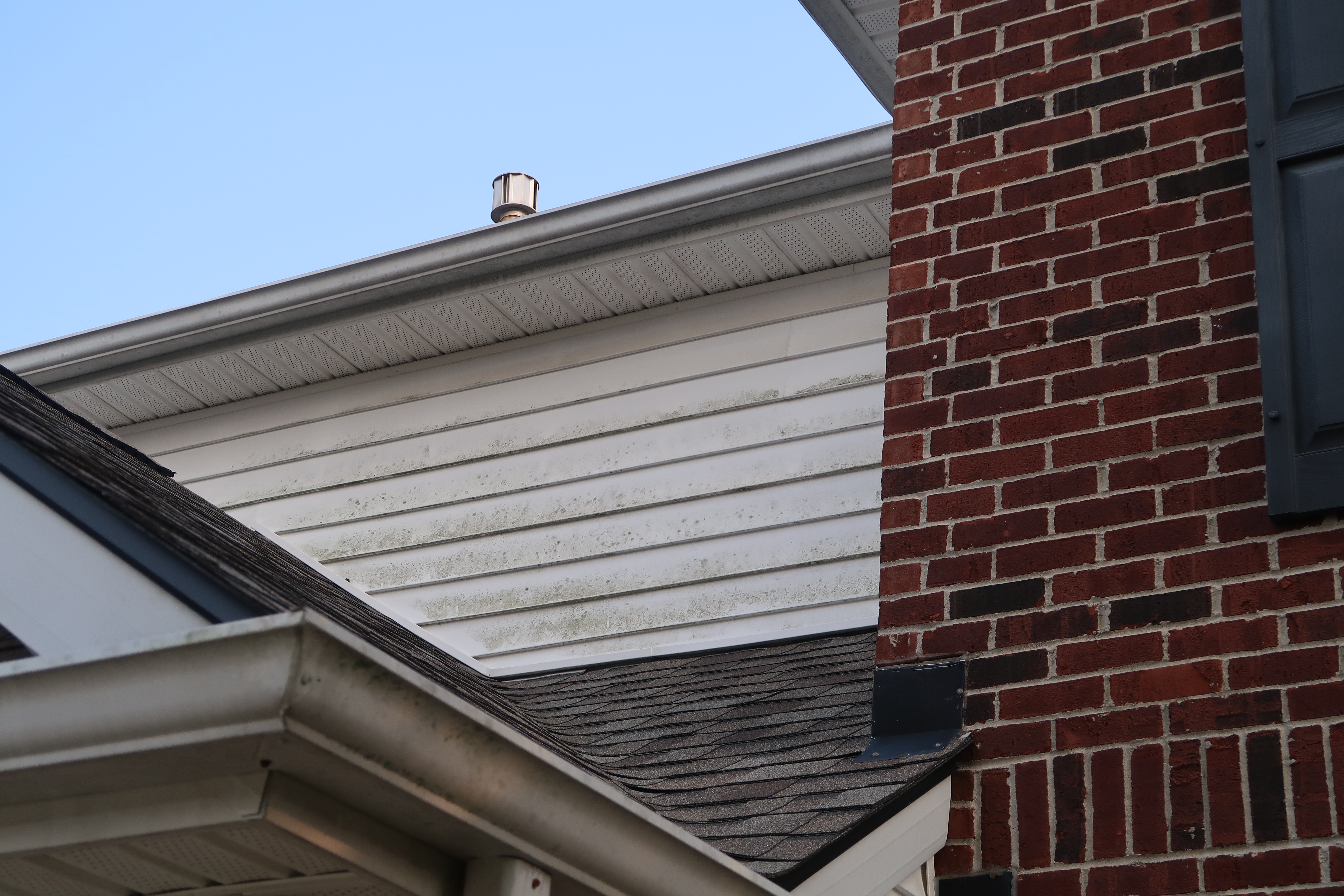 House siding with mold spots before washing