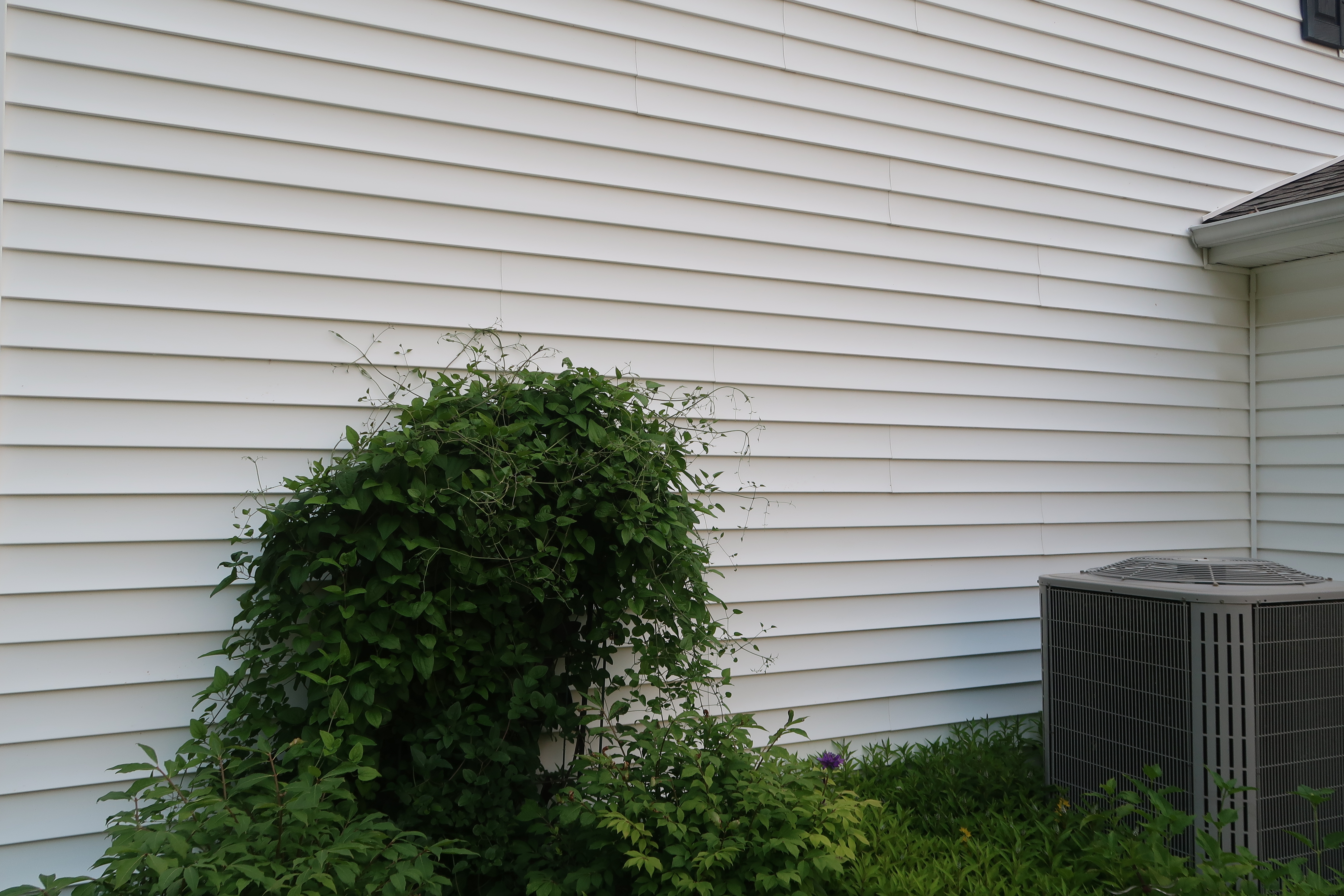 House exterior after house washing