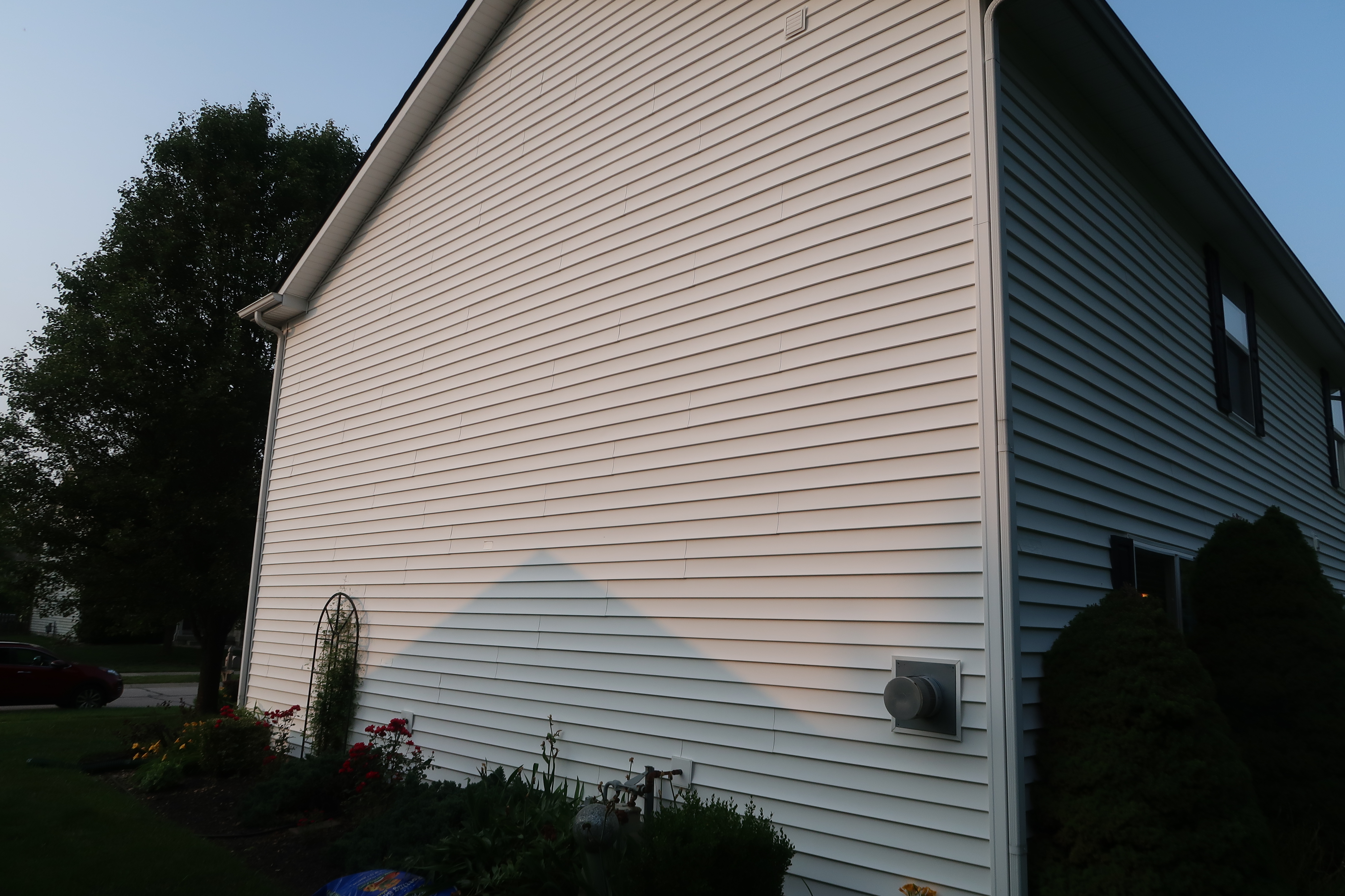 Siding algae removed after house washing