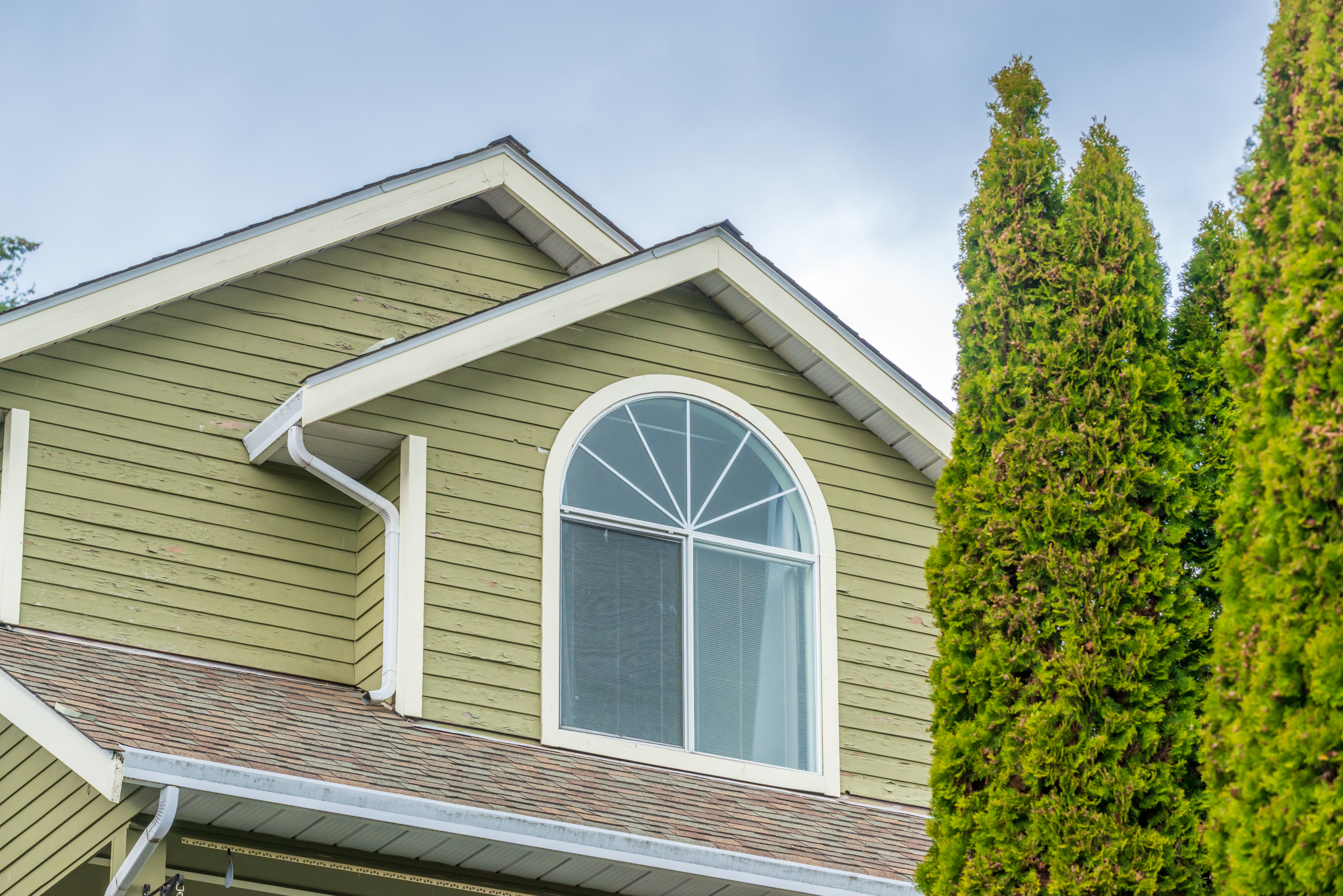House roofline and gutters